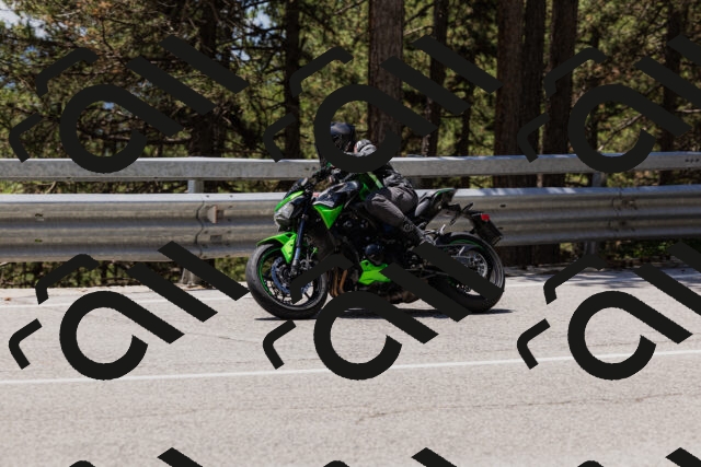 202506281306-_04A5246_c3_