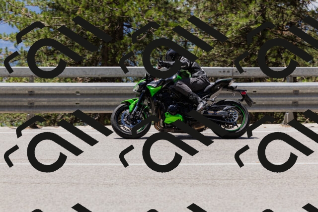 202506281306-_04A5247_c3_