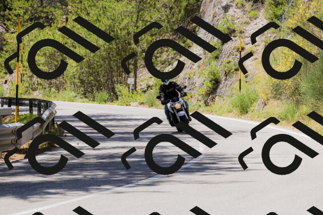 202506281306-_04A5248_c3_