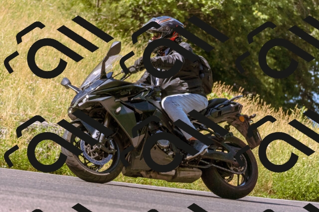 202506281039-_DSC0577_d1_