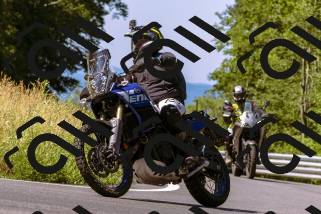 202506281039-_DSC0578_d1_