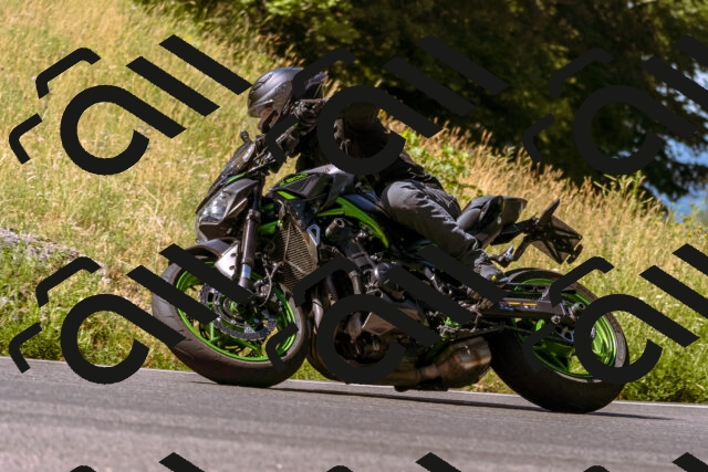 202506281047-_DSC0608_d1_