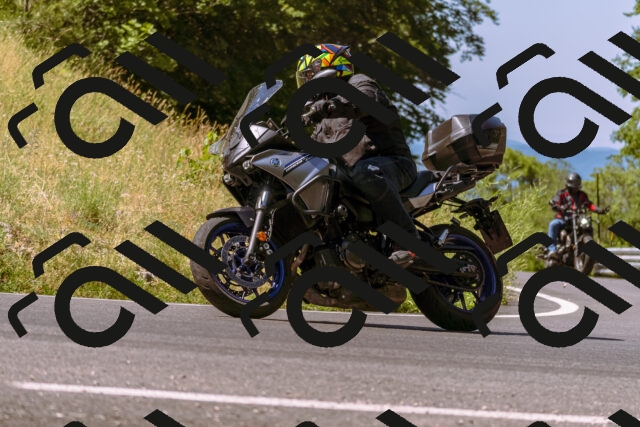 202506281052-_DSC0616_d1_