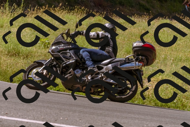 202506281054-_DSC0636_d1_