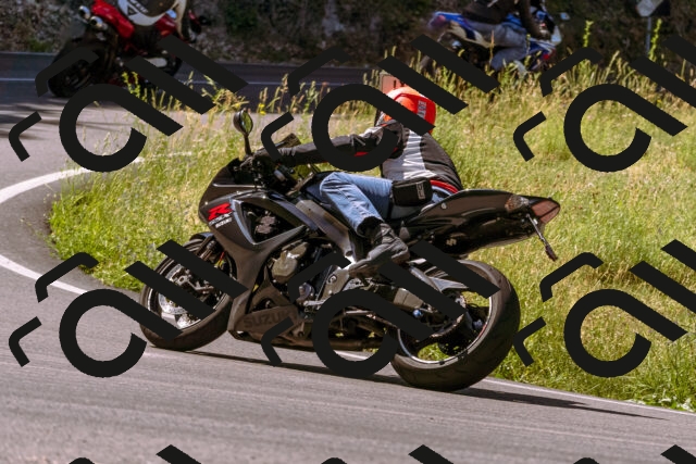 202506281055-_DSC0645_d1_