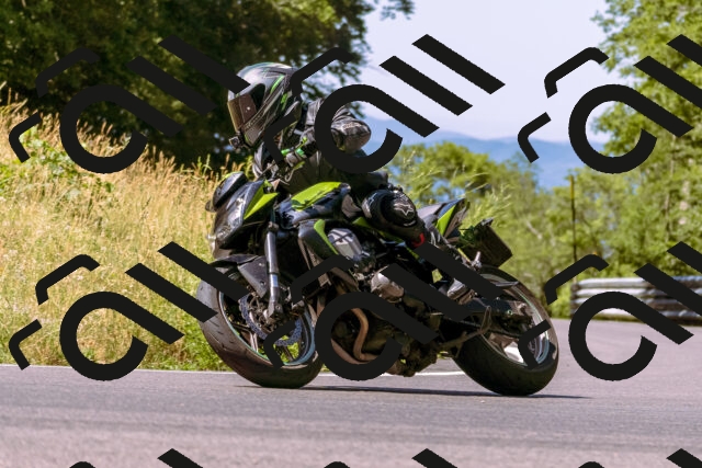 202506281057-_DSC0655_d1_