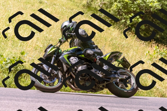 202506281057-_DSC0656_d1_