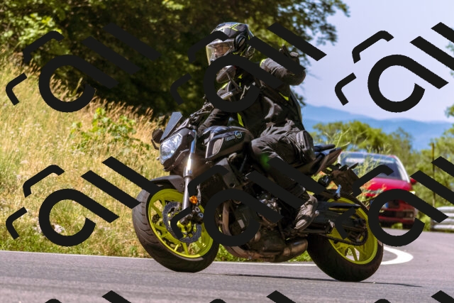 202506281058-_DSC0660_d1_