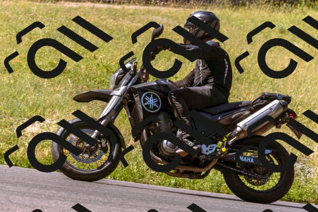 202506281058-_DSC0663_d1_