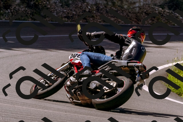 202506281059-_DSC0668_d1_