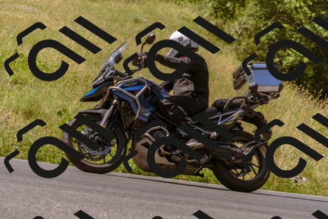 202506281100-_DSC0678_d1_