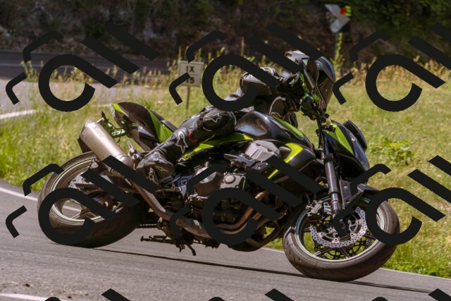 202506281102-_DSC0686_d1_