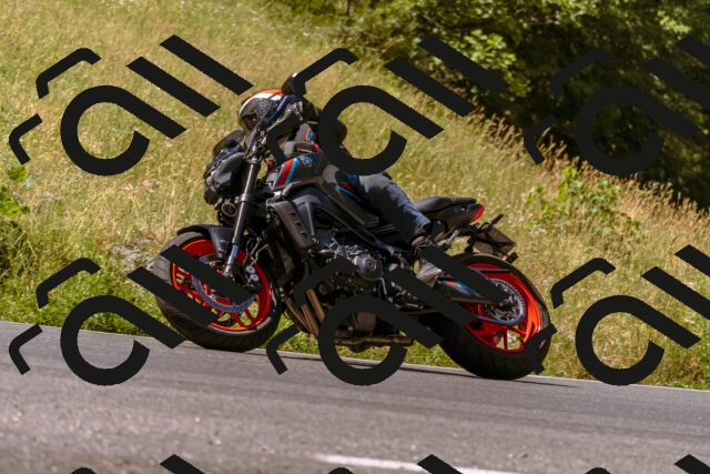 202506281110-_DSC0717_d1_