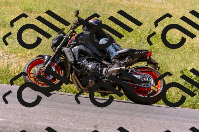 202506281110-_DSC0718_d1_