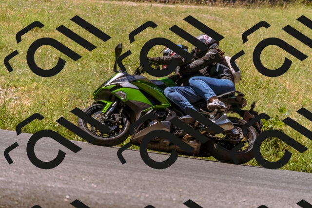 202506281110-_DSC0720_d1_