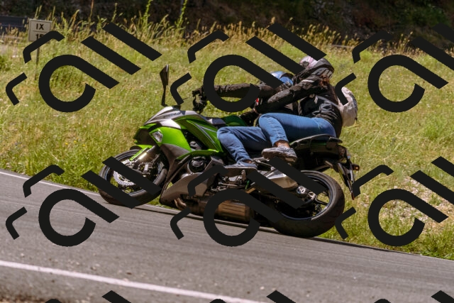 202506281110-_DSC0721_d1_