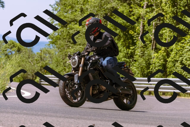 202506281110-_DSC0722_d1_