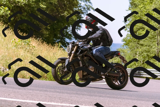 202506281110-_DSC0723_d1_