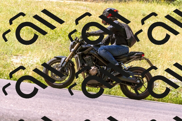 202506281110-_DSC0725_d1_