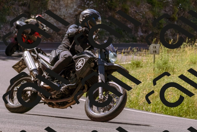 202506281111-_DSC0731_d1_