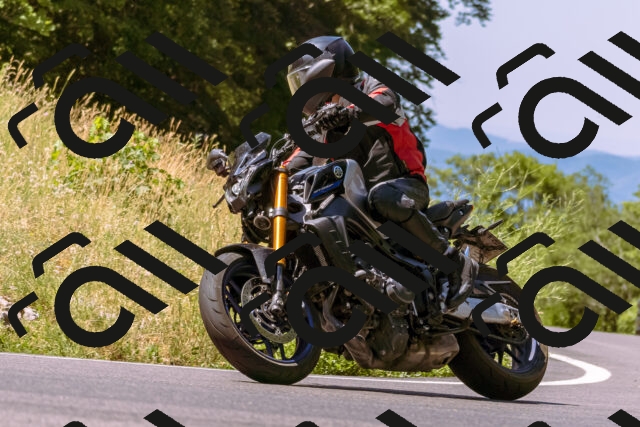 202506281113-_DSC0743_d1_