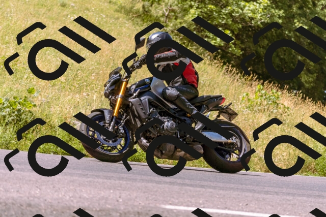 202506281113-_DSC0744_d1_