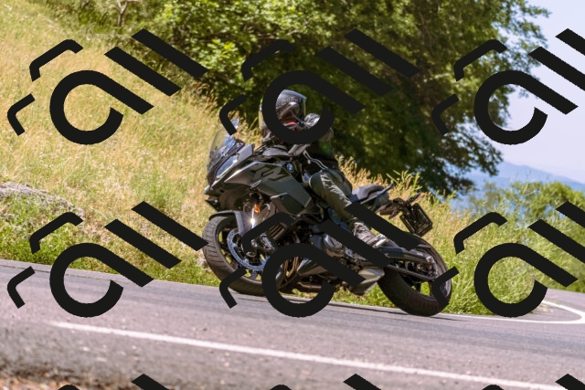 202506281118-_DSC0758_d1_