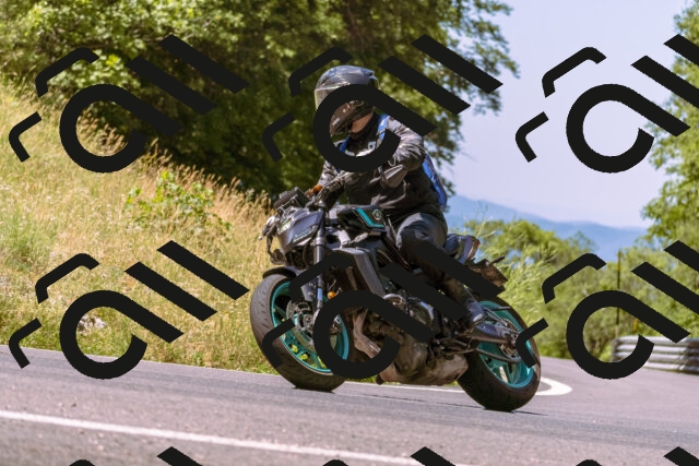 202506281122-_DSC0781_d1_