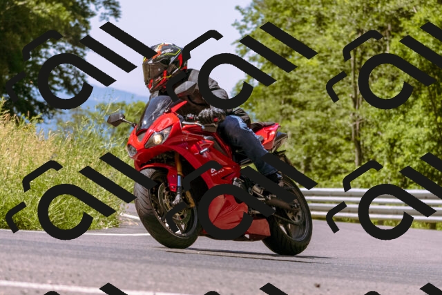 202506281128-_DSC0796_d1_