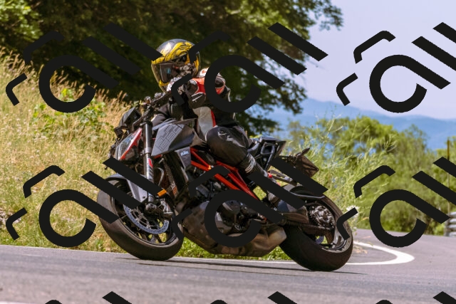 202506281131-_DSC0818_d1_