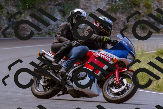 202506281135-_DSC0826_d1_