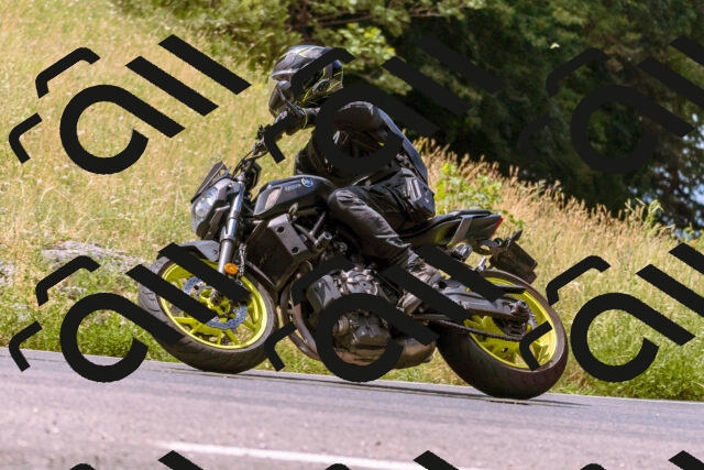 202506281137-_DSC0832_d1_