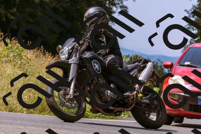 202506281137-_DSC0834_d1_