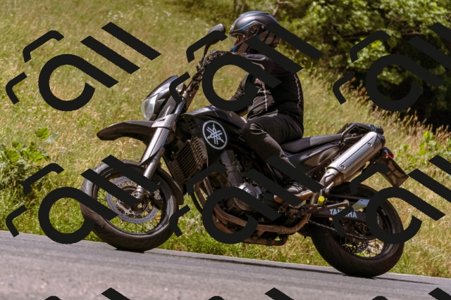 202506281137-_DSC0835_d1_