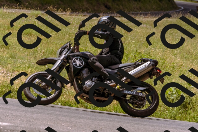 202506281137-_DSC0836_d1_