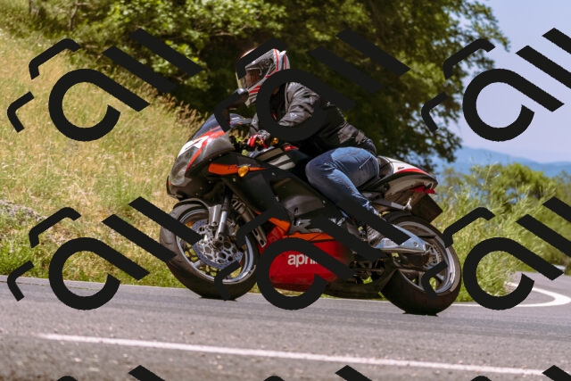 202506281138-_DSC0838_d1_