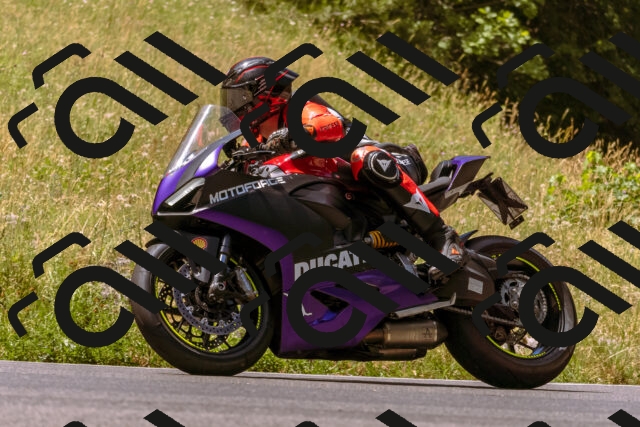 202506281140-_DSC0861_d1_