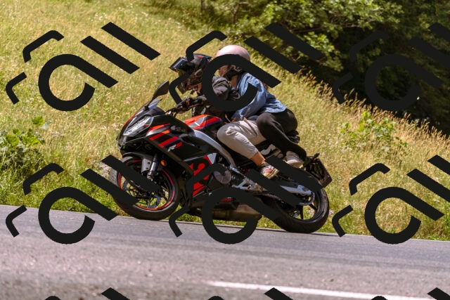 202506281141-_DSC0874_d1_