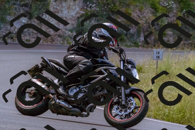 202506281143-_DSC0901_d1_