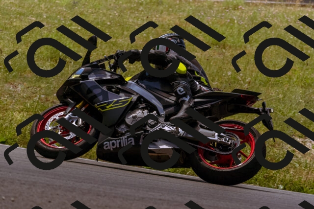 202506281150-_DSC0917_d1_