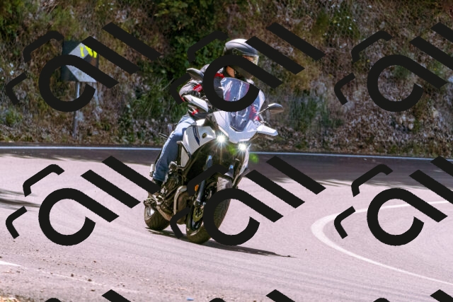 202506281154-_DSC0926_d1_