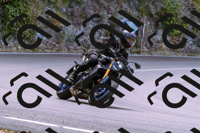 202506281203-_DSC0972_d1_