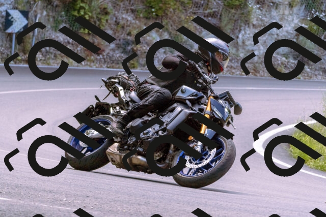 202506281203-_DSC0973_d1_