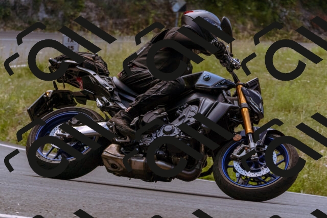 202506281203-_DSC0974_d1_