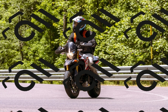 202506281208-_DSC0981_d1_