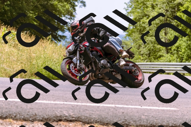 202506281212-_DSC1002_d1_