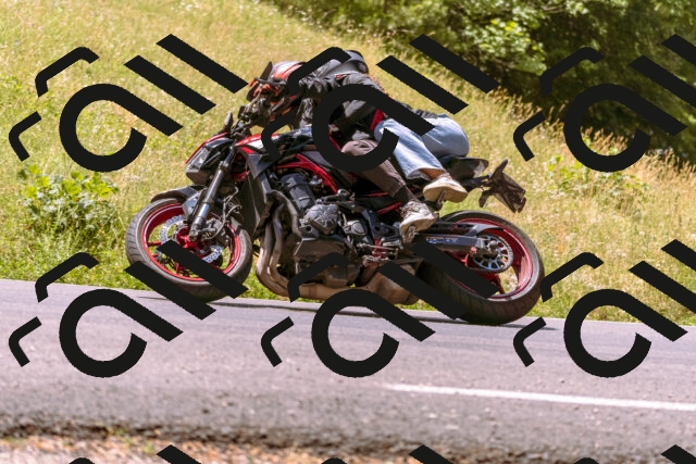 202506281212-_DSC1003_d1_