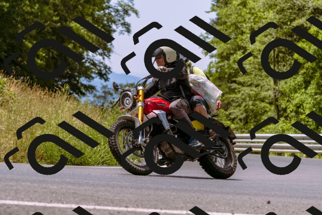 202506281217-_DSC1028_d1_