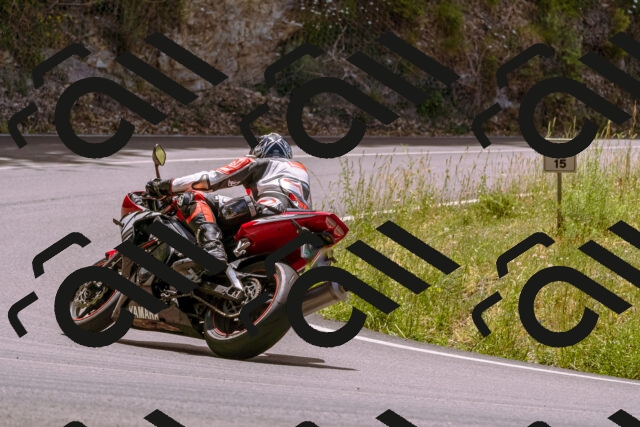 202506281232-_DSC1085_d1_