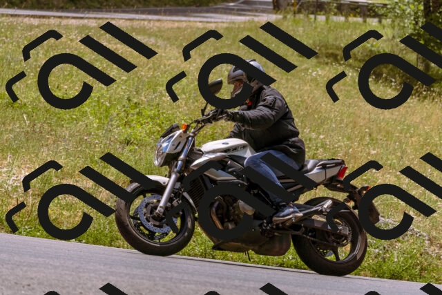 202506281233-_DSC1091_d1_